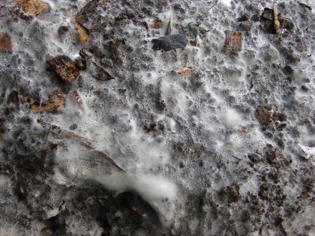 bigislandIMOcloseup
