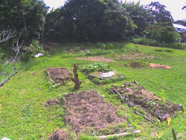 Garden-2010-1215-1204